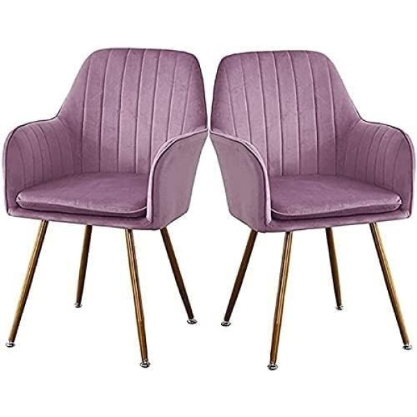 Ripple FURNITURE Dining Chairs Set for Dining Kitchen or Shop, Kitchen Velvet Dining Chair Set of 2 Kitchen Dining Room Chair Living Room High Back Armchair with Metal Legs Velvet Seat (Color : Purple)