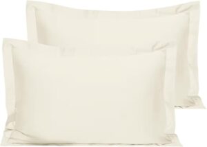 Ripple Furniture Modern Minimalist Sofa Cum Bed – Luxury Convertible Sleeper Couch with Space-Saving Design for Home, Guest Room, or Studio Apartment (Offwhite)