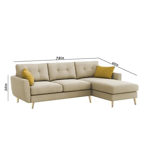 31uXfO69gPL.jpg