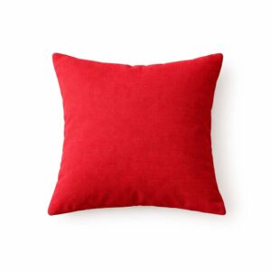 Ripple FURNITURE Elegant folding sofa cum bed for living rooms and apartments (Red Cushion)