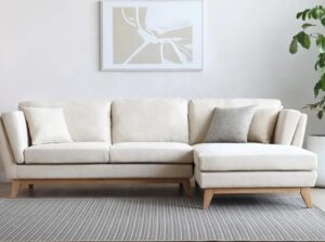Ripple FURNITURE Beige Modern Living Room Sofa Set with Chaise Lounge Chair and Ottoman