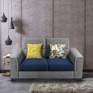 2 Seater Sofa Set for Living Room (Blue Grey)