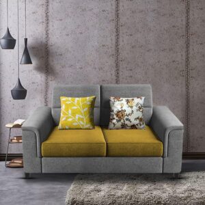 2 Seater Sofa Set for Living Room (Yellow Grey)